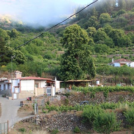 Finca El Cole Βίλα Λας Πάλμας ντε Γκραν Κανάρια Εξωτερικό φωτογραφία