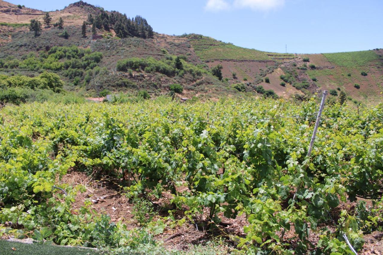 Finca El Cole Βίλα Λας Πάλμας ντε Γκραν Κανάρια Εξωτερικό φωτογραφία