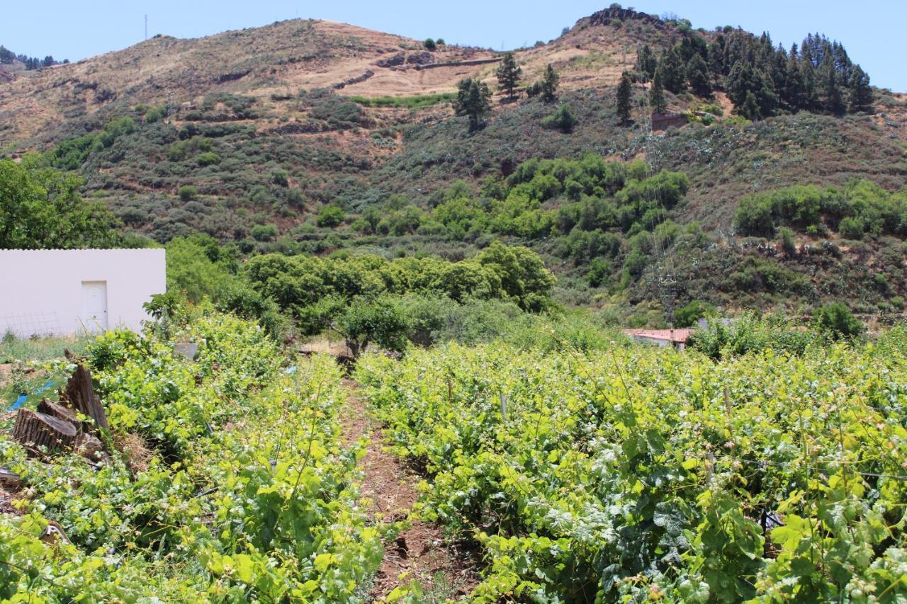 Finca El Cole Βίλα Λας Πάλμας ντε Γκραν Κανάρια Εξωτερικό φωτογραφία