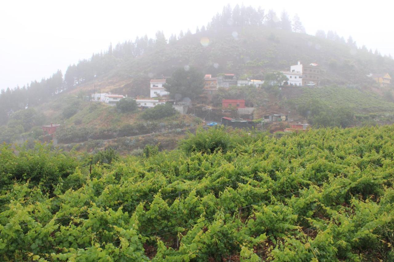 Finca El Cole Βίλα Λας Πάλμας ντε Γκραν Κανάρια Εξωτερικό φωτογραφία