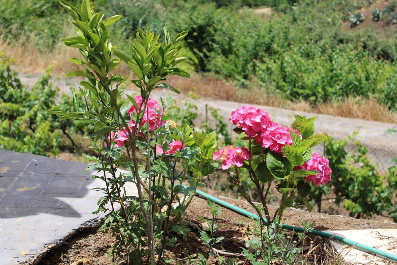 Finca El Cole Βίλα Λας Πάλμας ντε Γκραν Κανάρια Εξωτερικό φωτογραφία