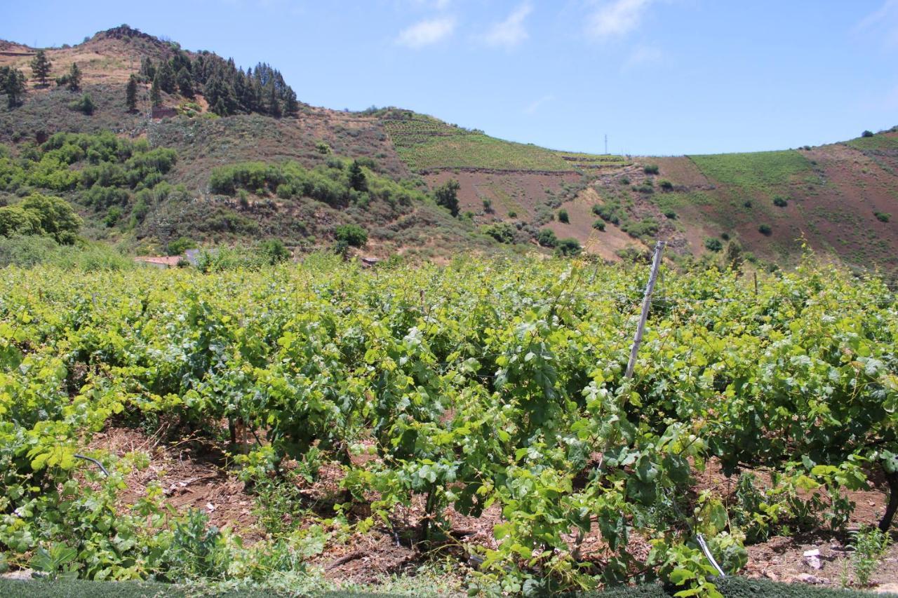 Finca El Cole Βίλα Λας Πάλμας ντε Γκραν Κανάρια Εξωτερικό φωτογραφία