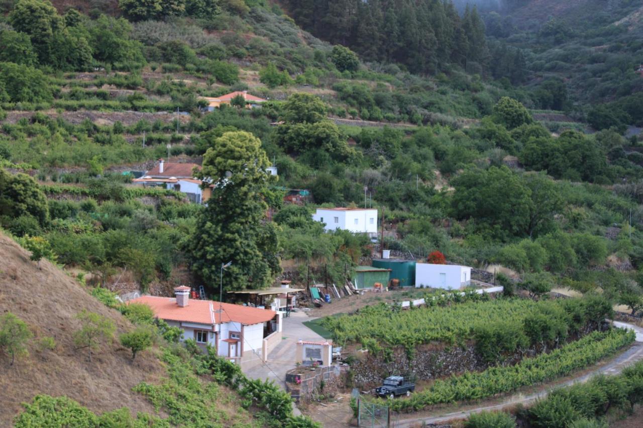 Finca El Cole Βίλα Λας Πάλμας ντε Γκραν Κανάρια Εξωτερικό φωτογραφία